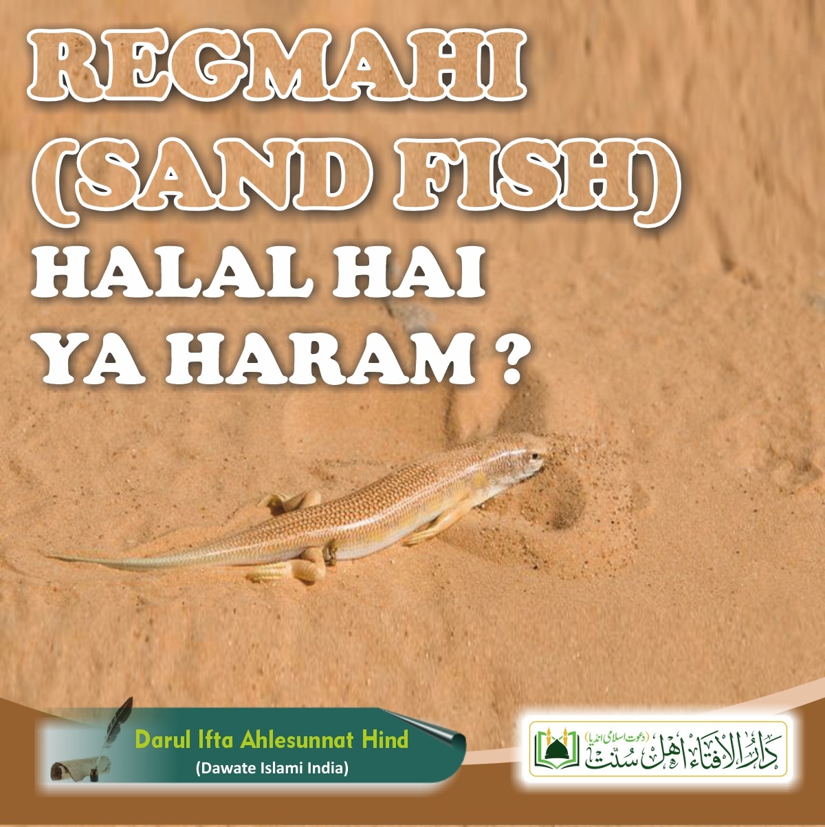 Regmahi (Sand Fish) Halal hai ya Haram ?