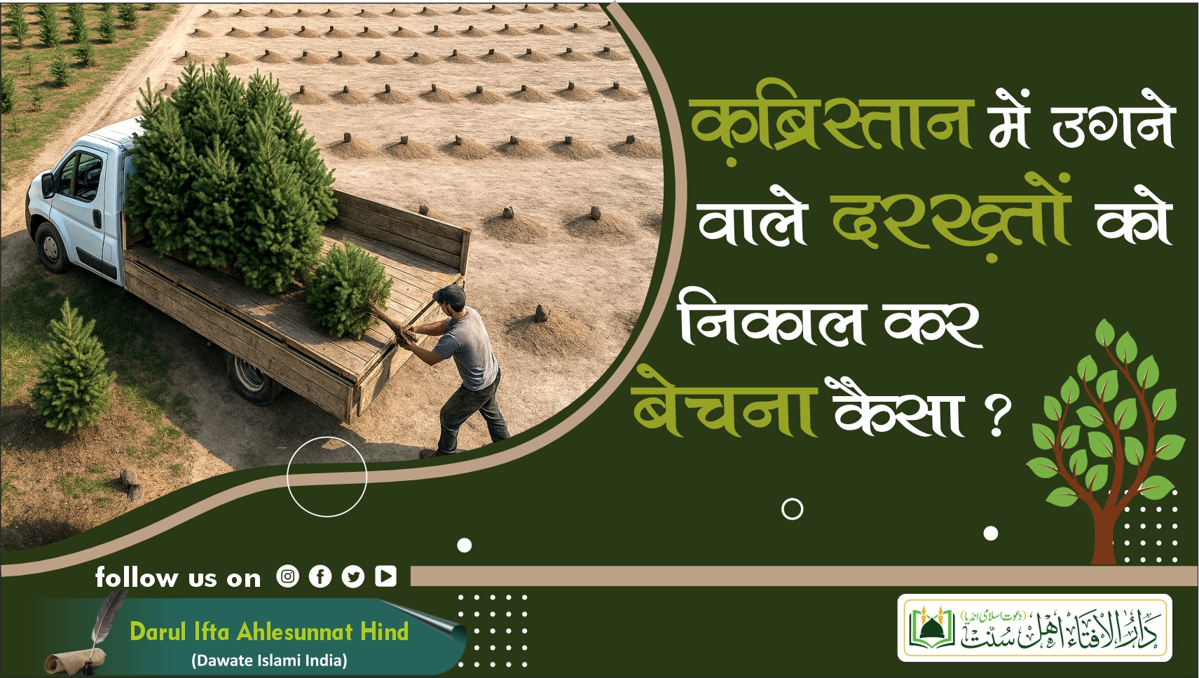  क़ब्रिस्तान में उगने वाले दरख़्तों को  निकाल कर बेचना कैसा ?