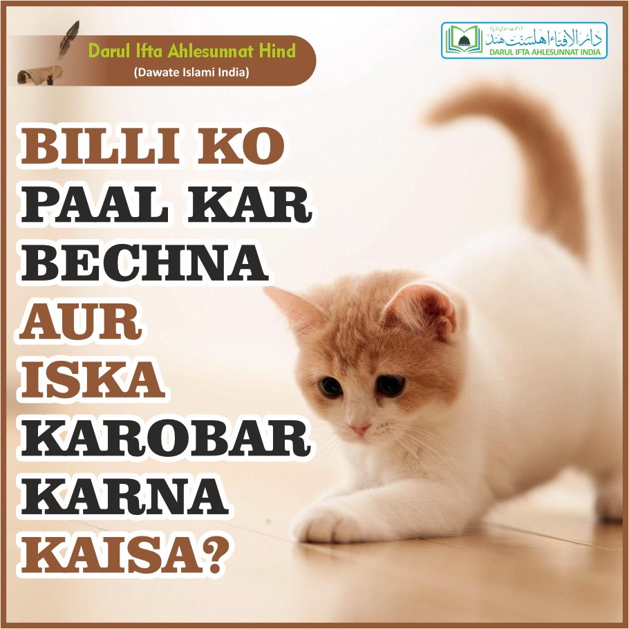 Billi ko Paal kar Bechna aur iska Karobar karna kaisa?