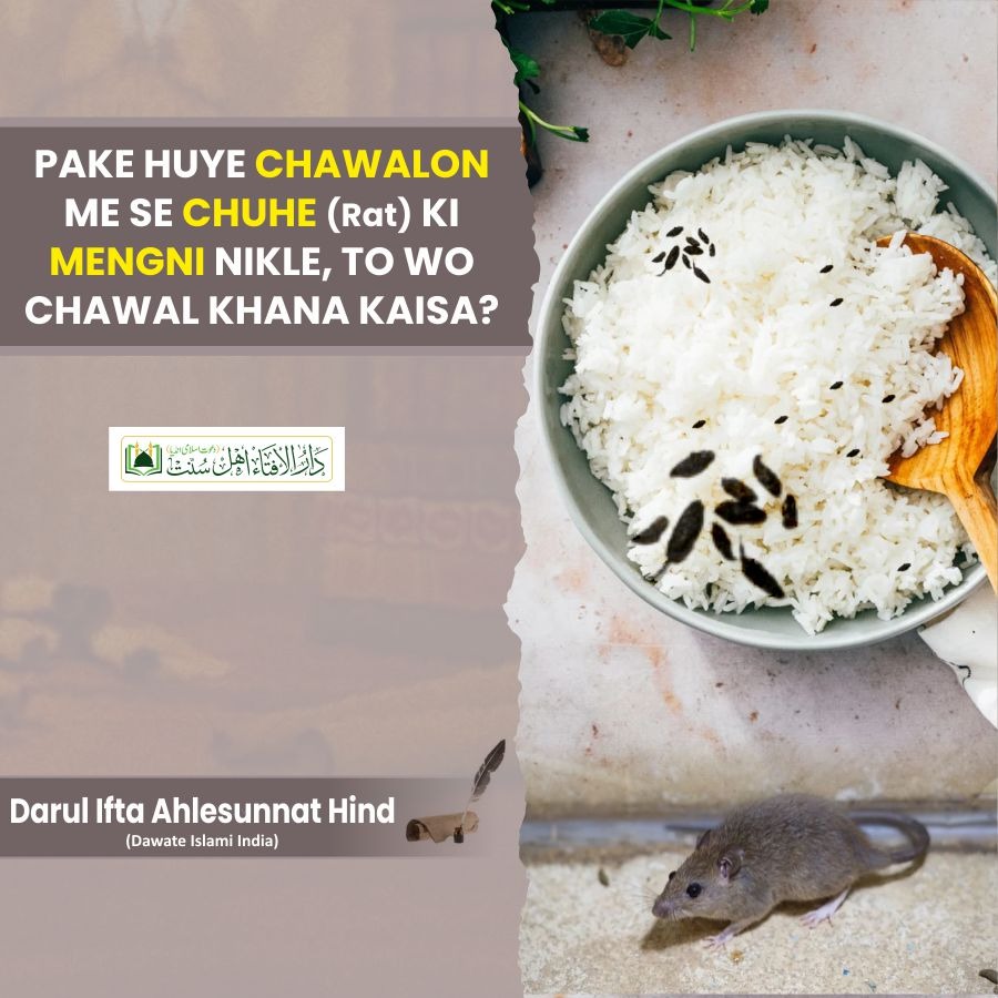 Pake huye chawalon me se chuhe (rat) ki mengni nikle to wo chawal khana kaisa?